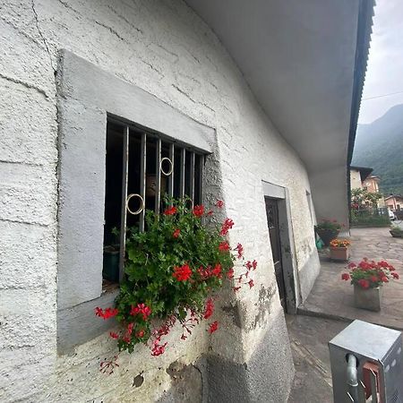 פיזונייה Casa Vacanze Il Pettirosso. מראה חיצוני תמונה