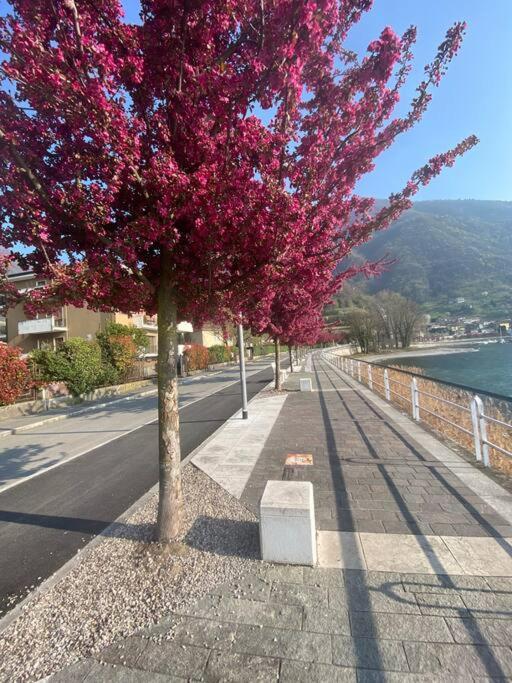 פיזונייה Casa Vacanze Il Pettirosso. מראה חיצוני תמונה